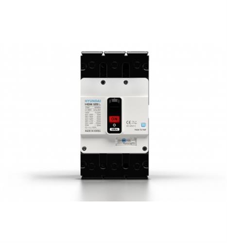MCCB HYUNDAI 2P 20A 35kA ( HGM100E-F )